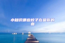 小知识哪些蚊子在吸你的血