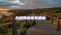 白蚁的危害有哪些