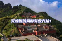 灭蟑螂的两种有效方法！