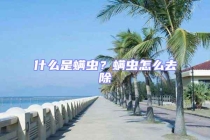 什么是螨虫？螨虫怎么去除
