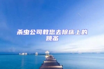 杀虫公司教您去除床上的跳蚤