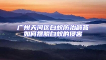 广州天河区白蚁防治解答如何摆脱白蚁的侵害