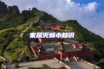 家居灭蟑小知识