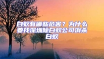 白蚁有哪些危害？为什么要找深圳除白蚁公司消杀白蚁