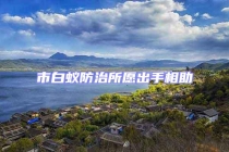 市白蚁防治所愿出手相助