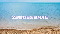 全国白蚁危害情况介绍