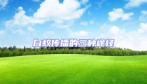 白蚁传播的三种途径