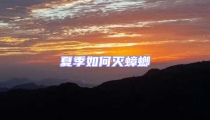 夏季如何灭蟑螂