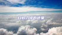 白蚁入侵的迹象
