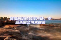 跳蚤防治的最佳方法，专业杀虫公司来回答