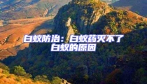白蚁防治:白蚁药灭不了白蚁的原因