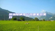深圳除螨虫公司哪家效果好