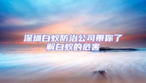 深圳白蚁防治公司带你了解白蚁的危害