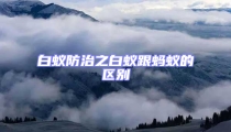 白蚁防治之白蚁跟蚂蚁的区别