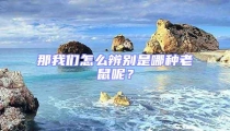 那我们怎么辨别是哪种老鼠呢?