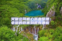 灭鼠公司呕心沥血整理：老鼠的危害到底有哪些