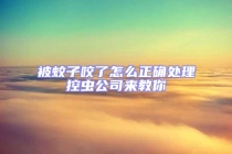 被蚊子咬了怎么正确处理控虫公司来教你