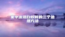 家中发现白蚁时的三个处理方法