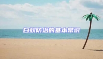 白蚁防治的基本常识
