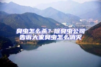 臭虫怎么杀？除臭虫公司告诉大家臭虫怎么消灭