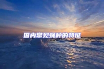 国内常见蝇种的特征