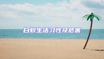 白蚁生活习性及危害