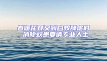 春暖花开又到白蚁肆虐时 消除蚁患要请专业人士