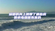 蟑螂的身上携带了哪些病菌病毒细菌有害的