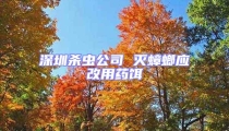 深圳杀虫公司 灭蟑螂应改用药饵