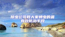 除虫公司教大家蜱虫的最有效防治手段