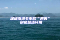 深圳街道冬季除“四害” 创造整洁环境