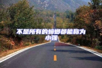 不是所有的蟑螂都能称为小强