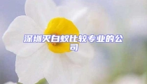 深圳灭白蚁比较专业的公司