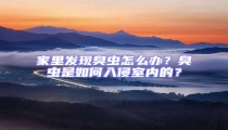 家里发现臭虫怎么办?臭虫是如何入侵室内的?
