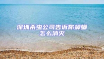 深圳杀虫公司告诉你蟑螂怎么消灭