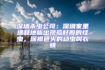 深圳杀虫公司：深圳家里墙和地板出现瓜籽般的怪虫，深褐色头的幼虫叫衣蛾
