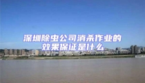 深圳除虫公司消杀作业的效果保证是什么