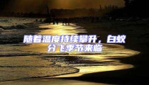 随着温度持续攀升,白蚁分飞季节来临