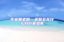 专业抓老鼠：老鼠会在什么月份最猖獗