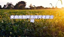 家庭应如何选择灭老鼠公司