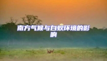 南方气候与白蚁环境的影响