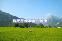 别把苍蝇不当“能虫”