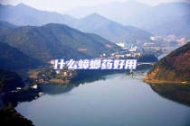 什么蟑螂药好用