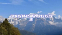 国家森林公园消除白蚁危害