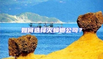 如何选择灭蟑螂公司？