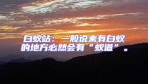 白蚁站：一般说来有白蚁的地方必然会有“蚁道”。
