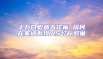 上万白蚁藏天花板 居民在家被发现7.5公斤蚁巢