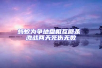 蚂蚁为争地盘相互厮杀 激战两天死伤无数
