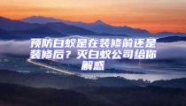 预防白蚁是在装修前还是装修后？灭白蚁公司给你解惑