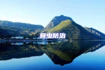 臭虫防治